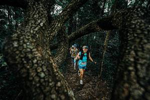 BIB: 
                            <button type="button" onclick="openModal(25685852)" class="btn btn-primary btn-sm float-right btn-popup" data-toggle="modal" data-target=".modal-high-quality">
                        <i class="fas fa-shopping-cart"></i> Add to Cart
                    </button>
                                            <button type="button" onclick="isThisMe(25685852, true)" class="btn btn-success btn-sm float-right btn-popup btn-isme hidden" data-toggle="tooltip" data-placement="bottom" title="นี่คือรูปของคุณใช่ไหม คลิกที่นี่เพื่อเอาเข้าอัลบั้ม">
                        <i class="fas fa-plus"></i> Add to album
                    </button>
                    <button type="button" onclick="isThisMe(25685852, false)" class="btn btn-warning btn-sm float-right btn-popup btn-isnotme hidden">
                        <i class="fas fa-ban"></i> Remove from album
                    </button>